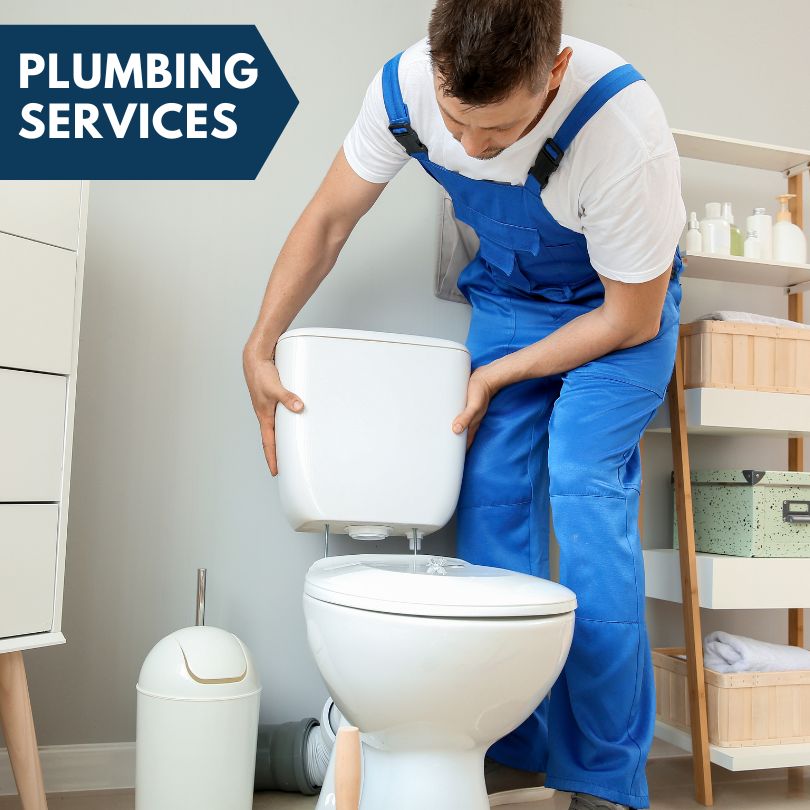 Plumbing Company in Ridgway, IL